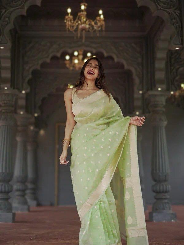 Nebula Pista Linen Silk Saree With Alluring Blouse Piece
